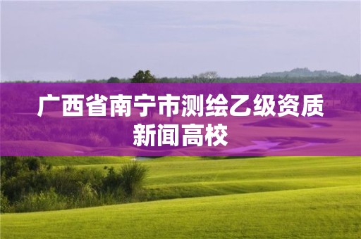 廣西省南寧市測繪乙級資質(zhì)新聞高校