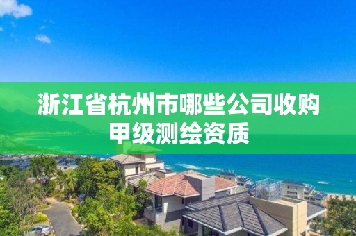 浙江省杭州市哪些公司收購甲級測繪資質