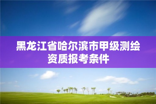 黑龍江省哈爾濱市甲級測繪資質報考條件