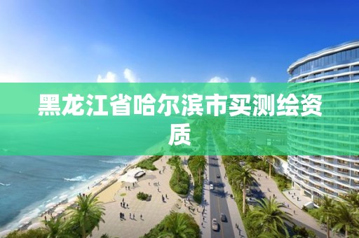 黑龍江省哈爾濱市買測繪資質(zhì)