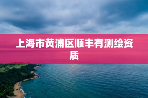 上海市黃浦區順豐有測繪資質