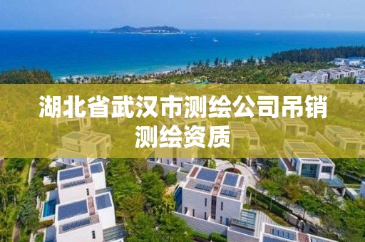 湖北省武漢市測(cè)繪公司吊銷(xiāo)測(cè)繪資質(zhì)