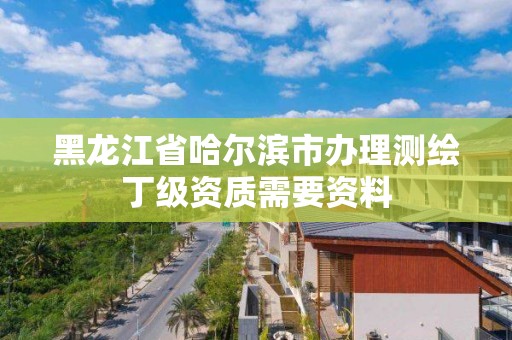 黑龍江省哈爾濱市辦理測繪丁級資質需要資料