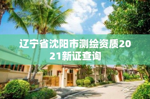 遼寧省沈陽市測繪資質2021新證查詢