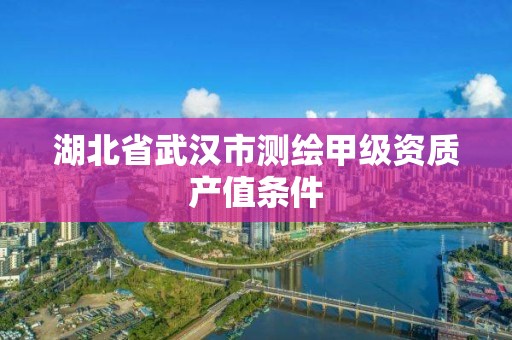 湖北省武漢市測繪甲級資質產值條件