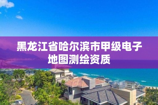 黑龍江省哈爾濱市甲級電子地圖測繪資質