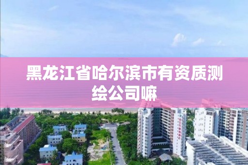 黑龍江省哈爾濱市有資質測繪公司嘛