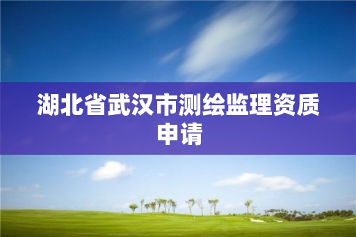 湖北省武漢市測(cè)繪監(jiān)理資質(zhì)申請(qǐng)