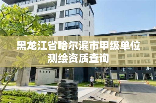 黑龍江省哈爾濱市甲級單位測繪資質查詢