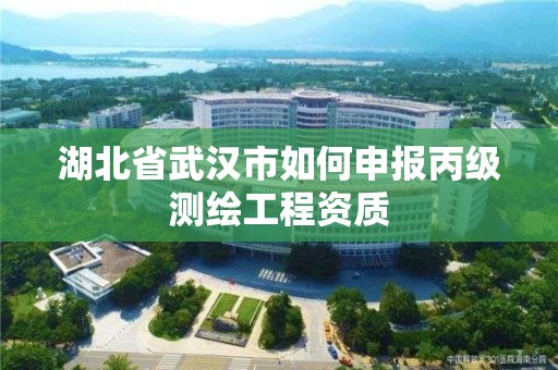 湖北省武漢市如何申報丙級測繪工程資質