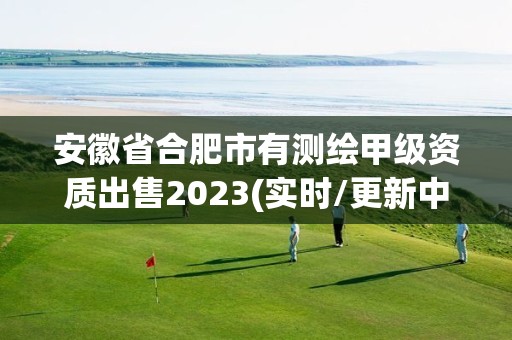 安徽省合肥市有測(cè)繪甲級(jí)資質(zhì)出售2023(實(shí)時(shí)/更新中)