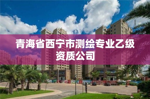 青海省西寧市測繪專業乙級資質公司