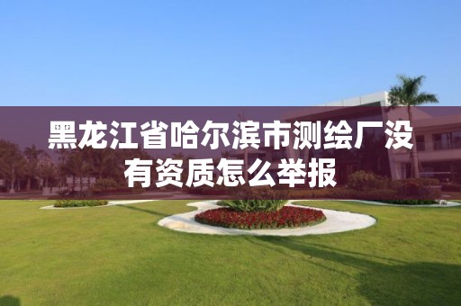 黑龍江省哈爾濱市測繪廠沒有資質(zhì)怎么舉報