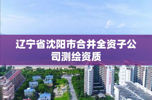 遼寧省沈陽市合并全資子公司測繪資質