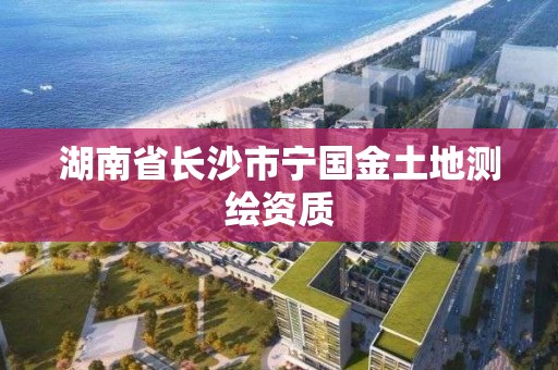 湖南省長沙市寧國金土地測繪資質