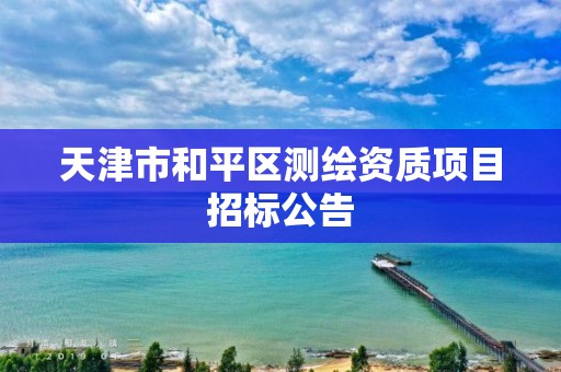 天津市和平區測繪資質項目招標公告