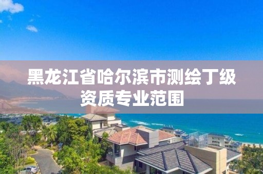 黑龍江省哈爾濱市測繪丁級資質專業范圍