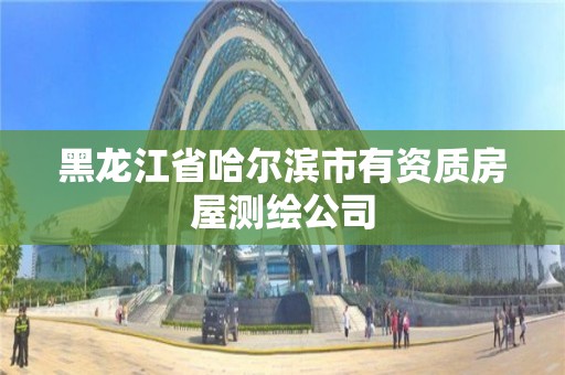 黑龍江省哈爾濱市有資質房屋測繪公司