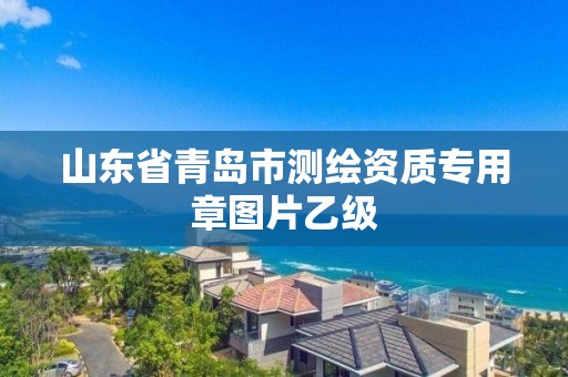 山東省青島市測繪資質專用章圖片乙級