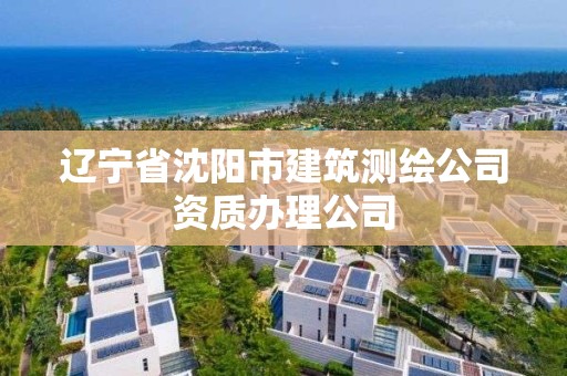 遼寧省沈陽市建筑測繪公司資質辦理公司