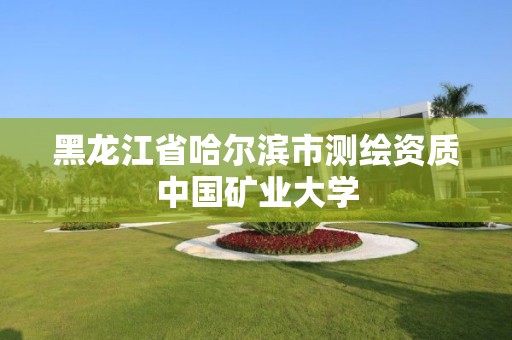 黑龍江省哈爾濱市測繪資質中國礦業大學