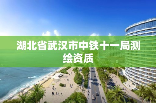 湖北省武漢市中鐵十一局測(cè)繪資質(zhì)