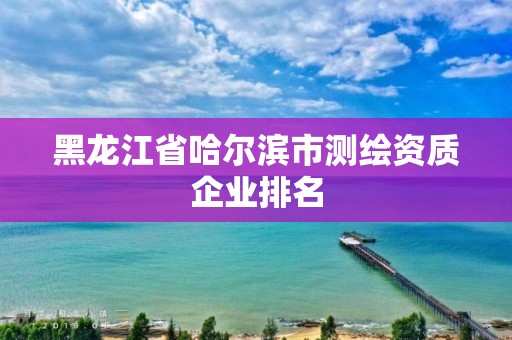 黑龍江省哈爾濱市測繪資質企業排名