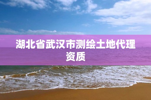 湖北省武漢市測繪土地代理資質