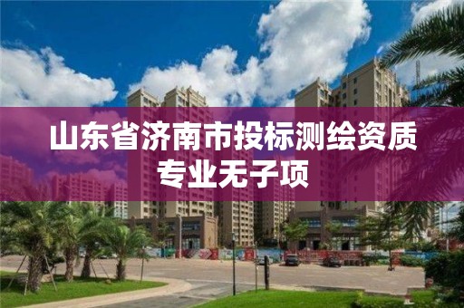 山東省濟南市投標測繪資質(zhì)專業(yè)無子項