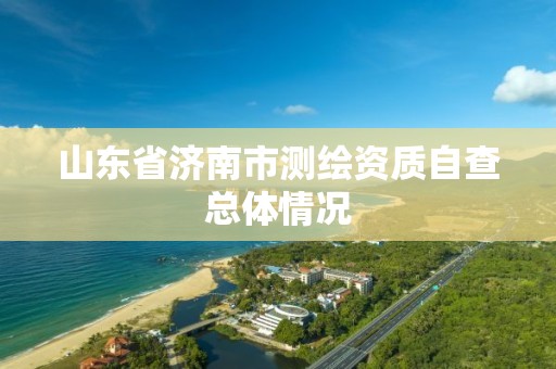 山東省濟南市測繪資質自查總體情況