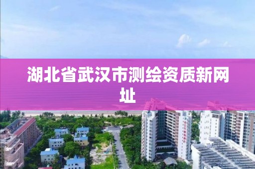 湖北省武漢市測繪資質新網址