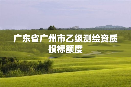 廣東省廣州市乙級(jí)測(cè)繪資質(zhì)投標(biāo)額度