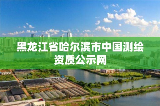 黑龍江省哈爾濱市中國測繪資質公示網