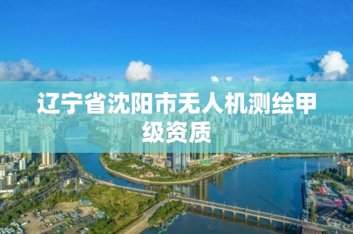 遼寧省沈陽市無人機測繪甲級資質(zhì)