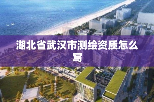 湖北省武漢市測繪資質怎么寫