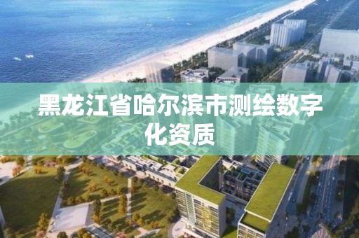 黑龍江省哈爾濱市測繪數字化資質