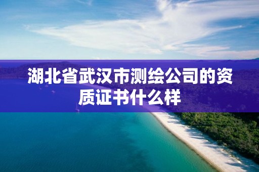 湖北省武漢市測繪公司的資質證書什么樣