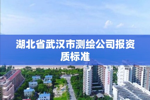 湖北省武漢市測繪公司報資質標準