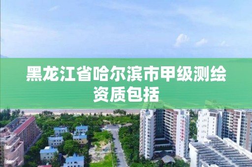 黑龍江省哈爾濱市甲級測繪資質包括