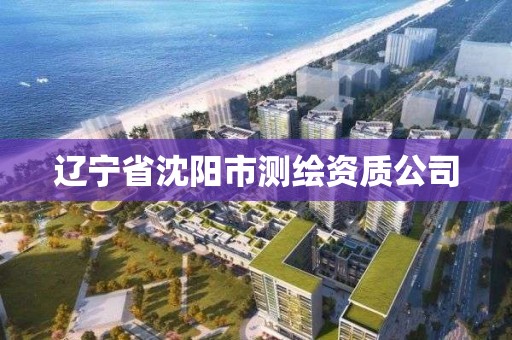 遼寧省沈陽市測繪資質公司