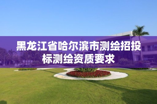 黑龍江省哈爾濱市測繪招投標測繪資質要求