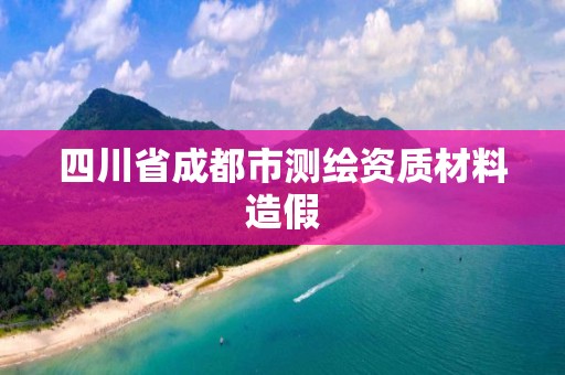 四川省成都市測繪資質材料造假