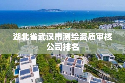 湖北省武漢市測繪資質審核公司排名