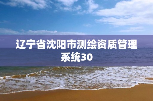 遼寧省沈陽市測繪資質管理系統(tǒng)30