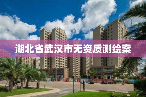 湖北省武漢市無資質測繪案