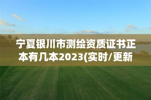 寧夏銀川市測繪資質(zhì)證書正本有幾本2023(實(shí)時(shí)/更新中)