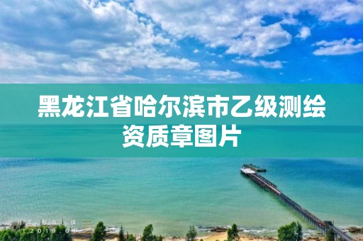 黑龍江省哈爾濱市乙級測繪資質章圖片