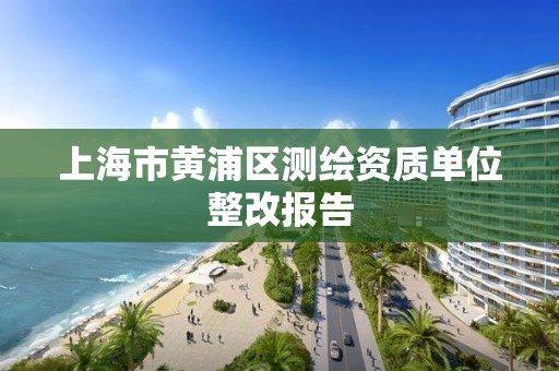 上海市黃浦區測繪資質單位整改報告