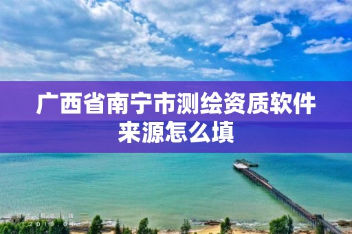 廣西省南寧市測繪資質軟件來源怎么填