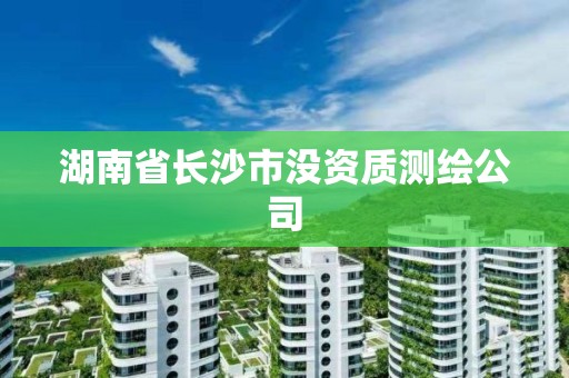 湖南省長沙市沒資質(zhì)測繪公司